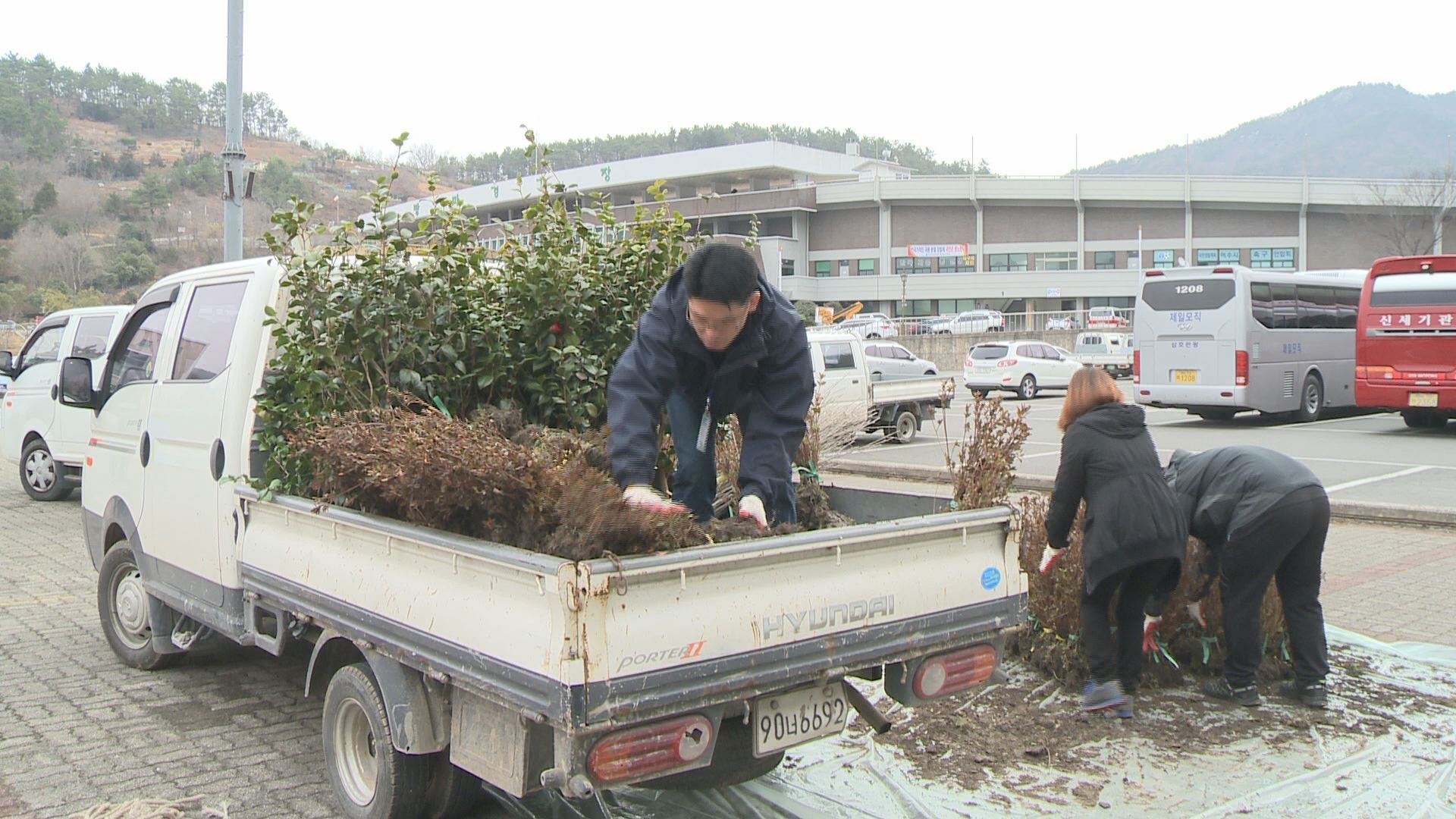 꽃과 숲이 어우러진 푸른 여수를 위한 나무 나누어주기 행사 이용자 제공이미지