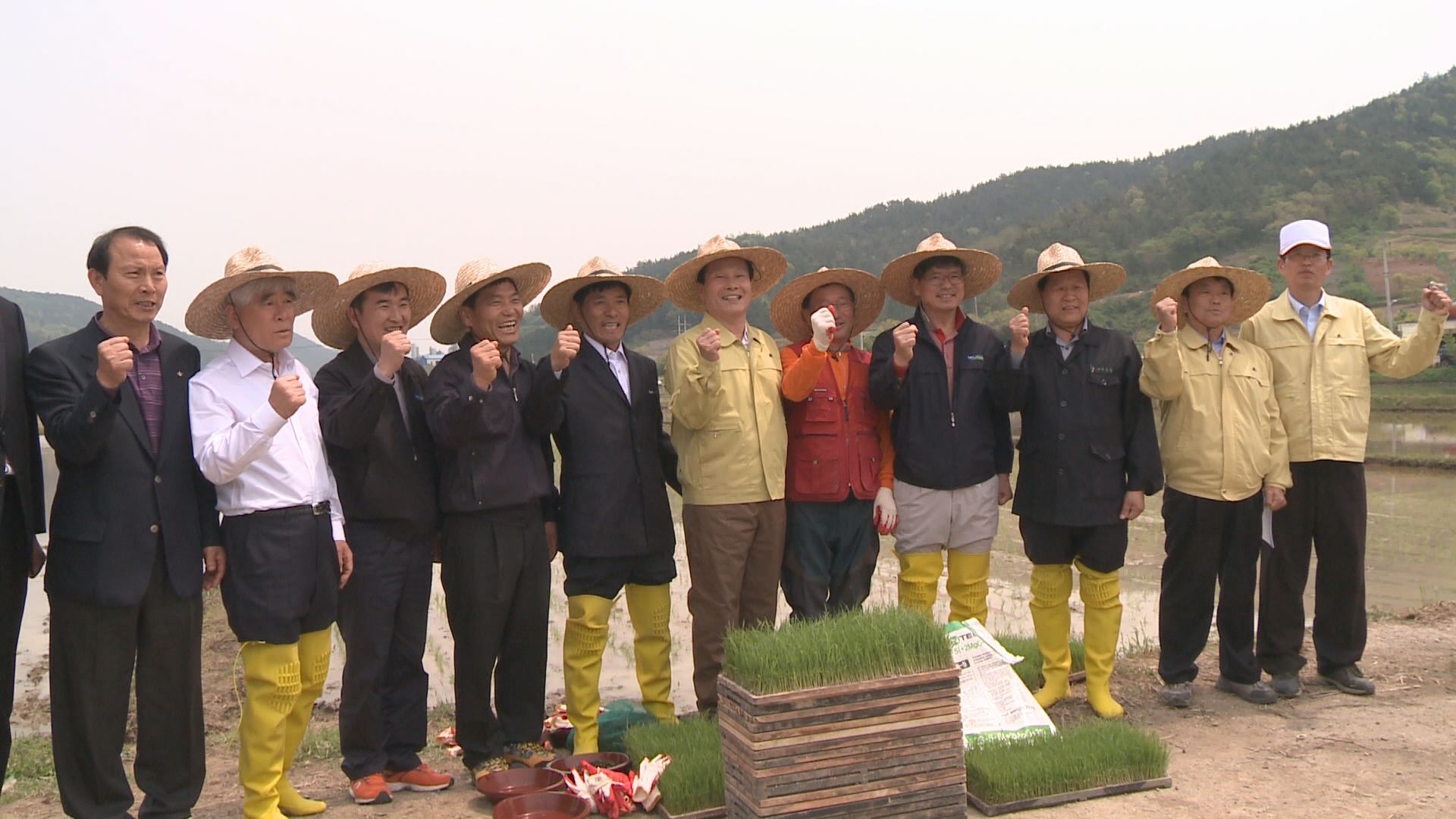 2015년 친환경농업단지 첫 모내기 행사 이용자 제공이미지