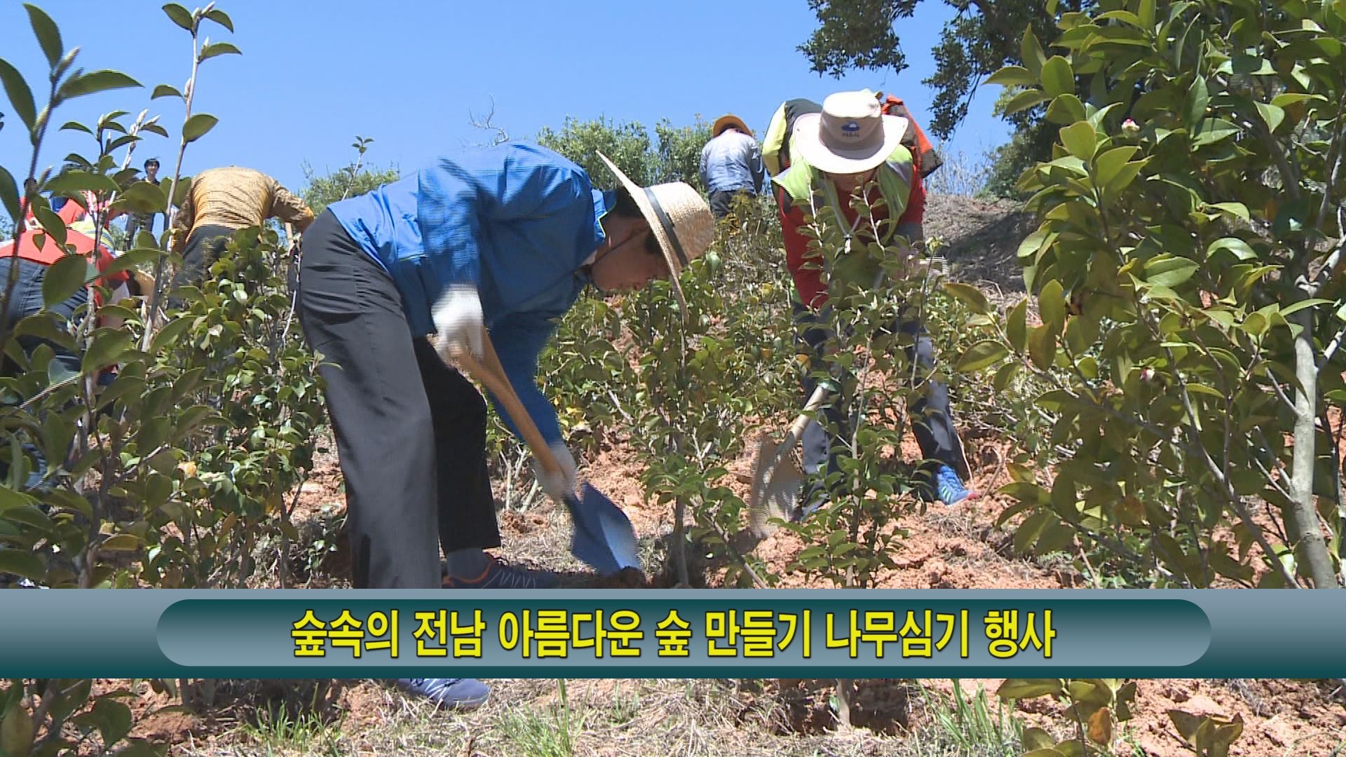 숲속의 전남 아름다운 숲 만들기 나무심기 행사 이용자 제공이미지