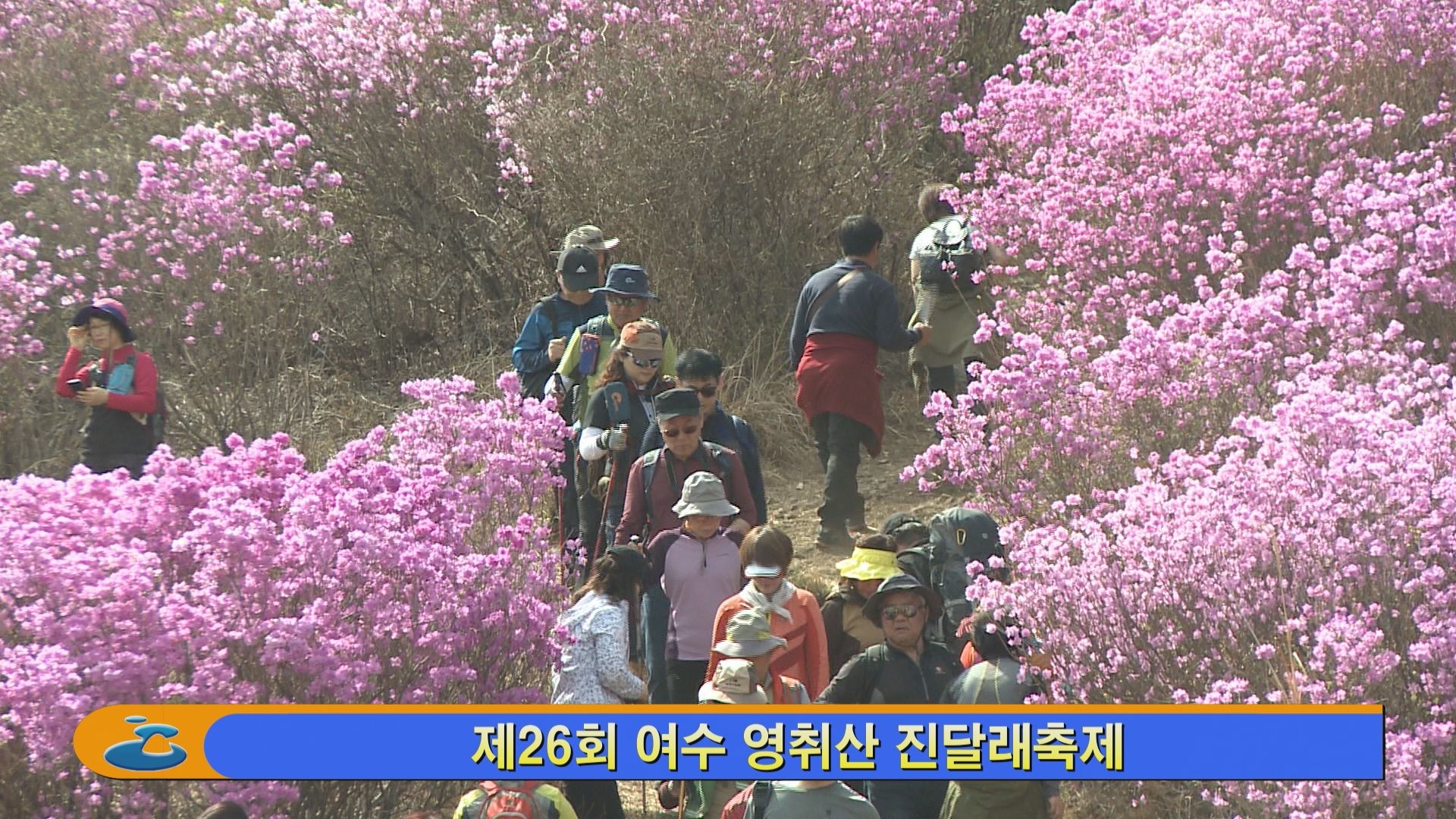 제26회 여수 영취산 진달래 체험행사 이용자 제공이미지