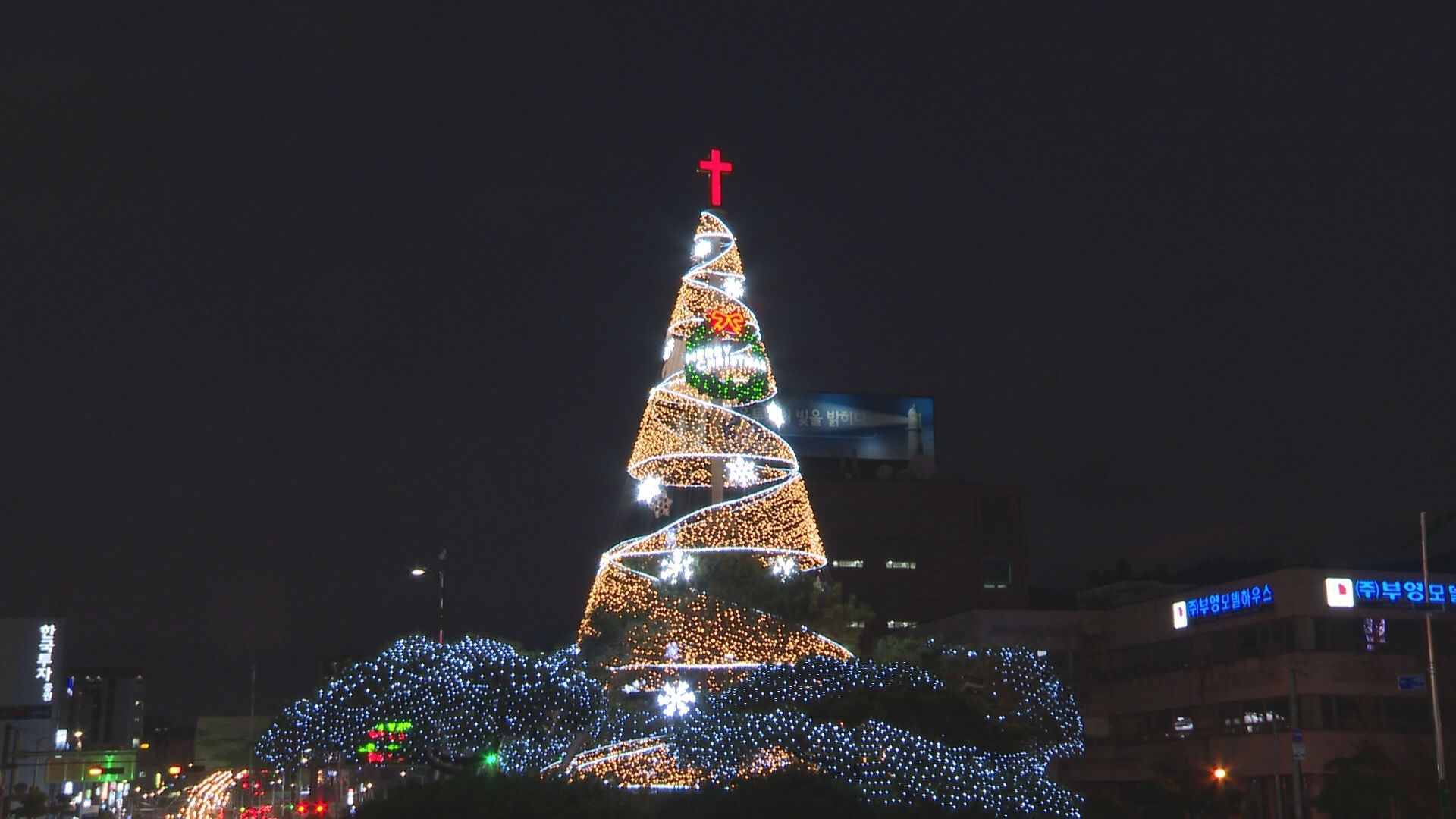 2019년 크리스마스 트리 점등식 이용자 제공이미지