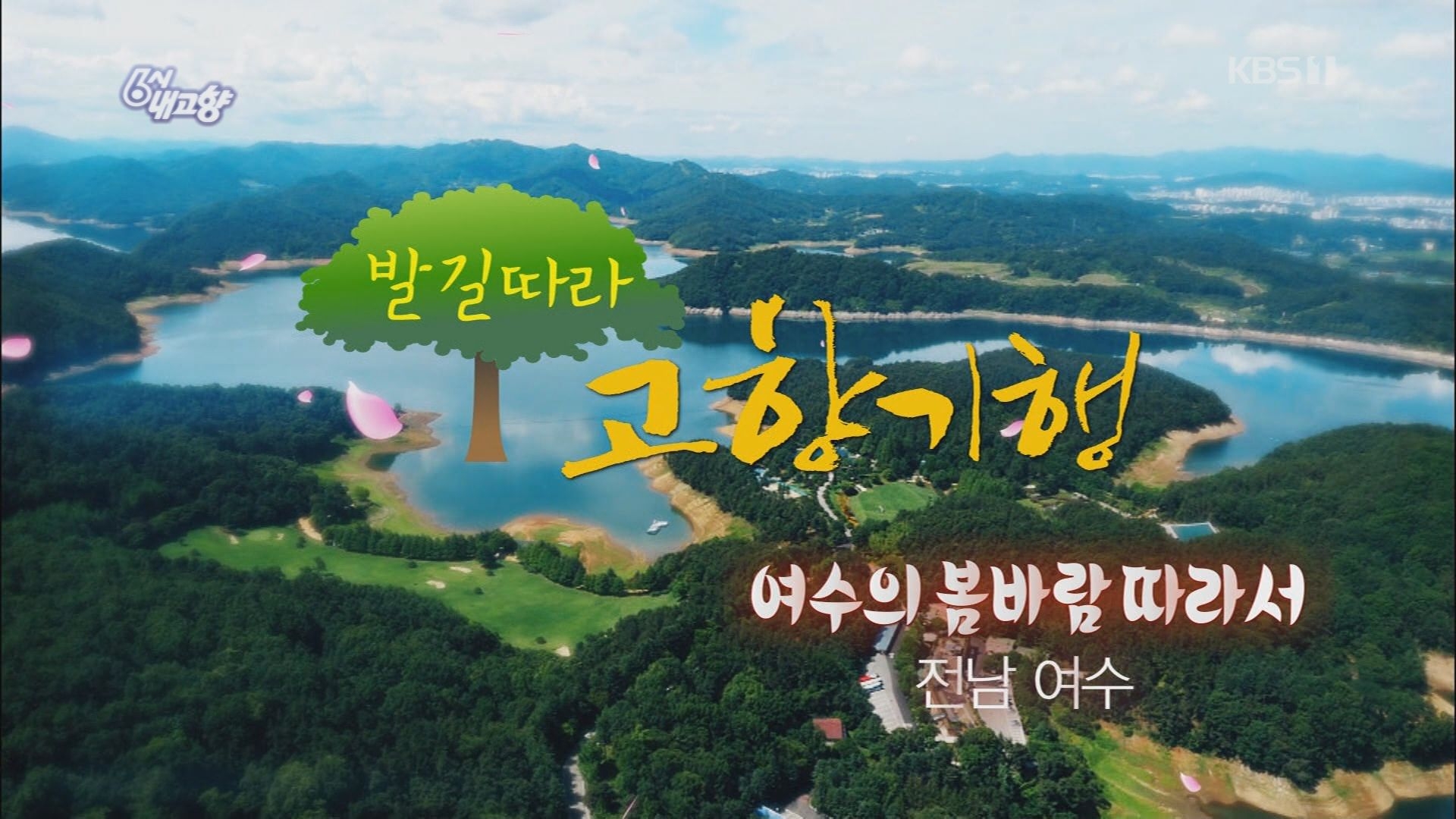 KBS 6시 내고향_여수의 봄바람 따라서 이용자 제공이미지