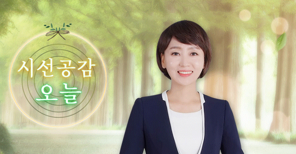 20221111-TBN 광주교통방송 '시선공감 오늘' 이용자 제공이미지